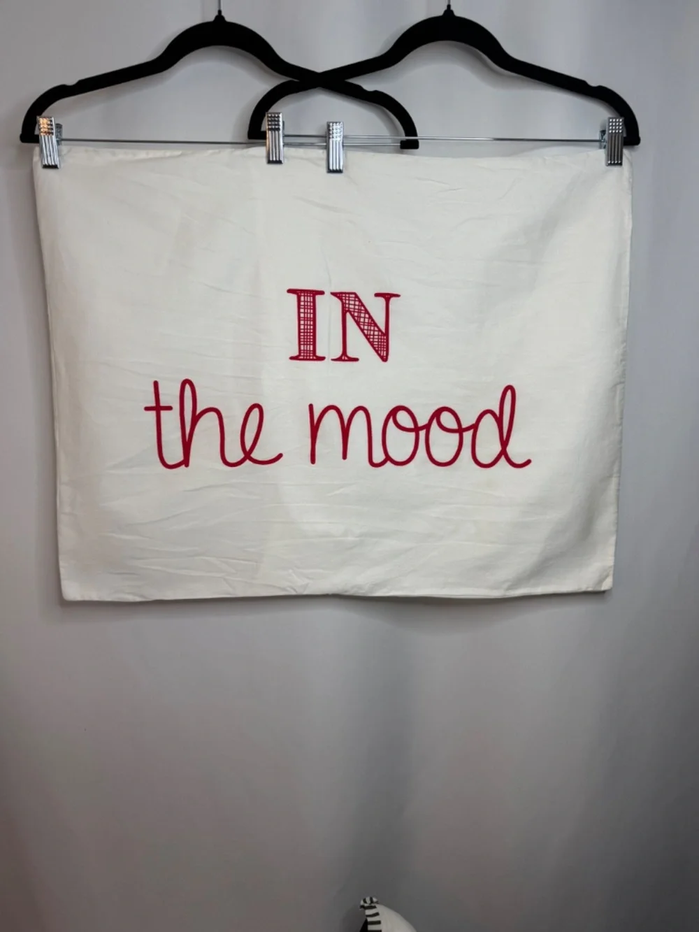 Cute & Fun Pillow Cases & Throw Pillow, NWOT
